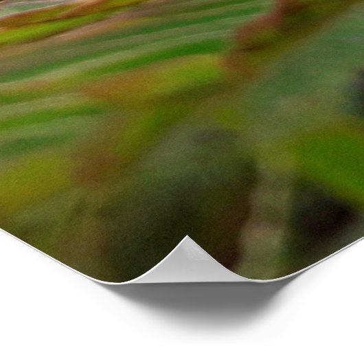 Maria fecha a porta  - Campo ポスター (角)