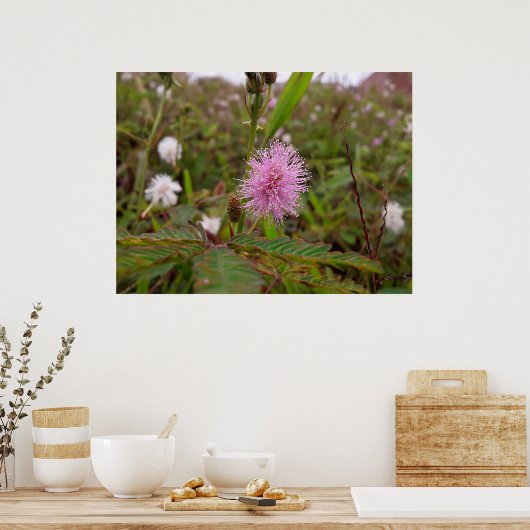 Maria fecha a porta  - Campo ポスター (キッチン)