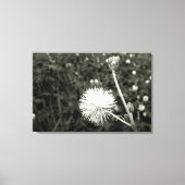 Maria fecha a porta  - Com Broto キャンバスプリント (正面)