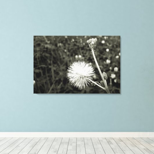 Maria fecha a porta  - Com Broto キャンバスプリント (インサイチュ (ウッドフロア))