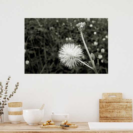 Maria fecha a porta  - Com Broto ポスター (キッチン)