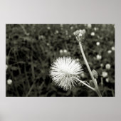 Maria fecha a porta  - Com Broto ポスター (正面)