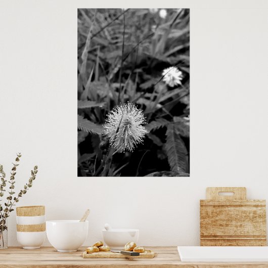 Maria-fecha-a-porta CONTRASTE ポスター (キッチン)