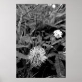 Maria-fecha-a-porta CONTRASTE ポスター (正面)