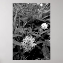 Maria-fecha-a-porta CONTRASTE ポスター