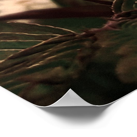 Maria-fecha-a-porta  -FILTRO ポスター (角)