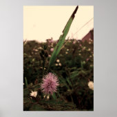 Maria-fecha-a-porta  -FILTRO ポスター (正面)