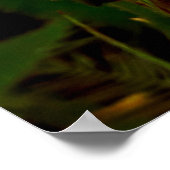 Maria-fecha-a-porta - intenso ポスター (角)