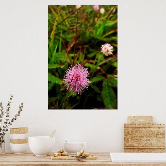 Maria-fecha-a-porta - intenso ポスター (キッチン)