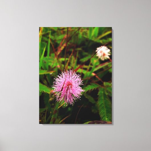 Maria-fecha-a-porta lilas キャンバスプリント (正面)