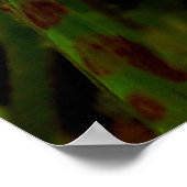 Maria-fecha-a-porta lilas ポスター (角)