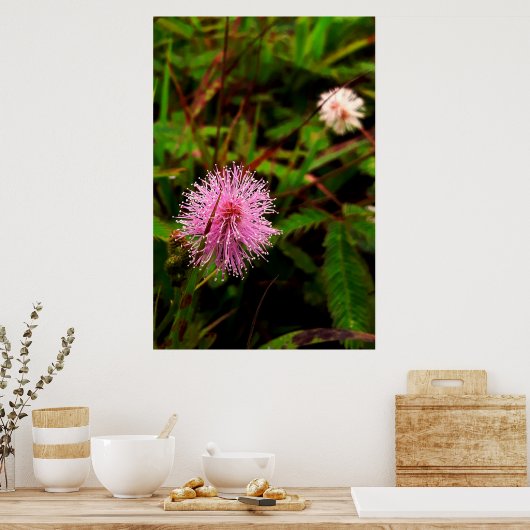 Maria-fecha-a-porta lilas ポスター (キッチン)