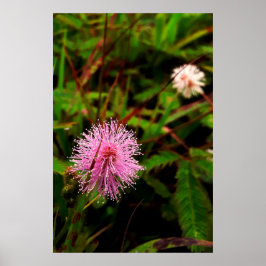 Maria-fecha-a-porta lilas ポスター