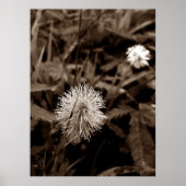 Maria-fecha-a-porta old ポスター (正面)