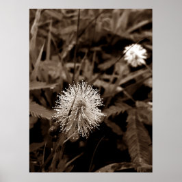 Maria-fecha-a-porta old ポスター