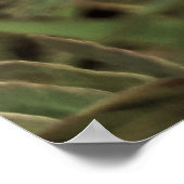 Maria-fecha-a-porta - OLD ポスター (角)