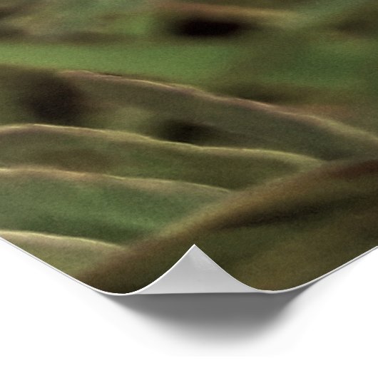 Maria-fecha-a-porta - OLD ポスター (角)