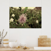 Maria-fecha-a-porta - OLD ポスター (キッチン)