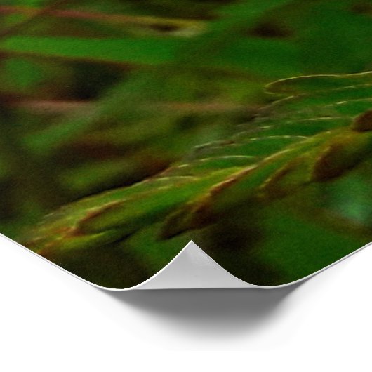 Maria-fecha-a-porta - ORIGINAL ポスター (角)