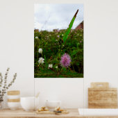 Maria-fecha-a-porta - ORIGINAL ポスター (キッチン)