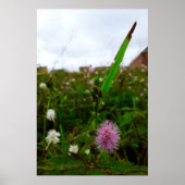 Maria-fecha-a-porta - ORIGINAL ポスター (正面)