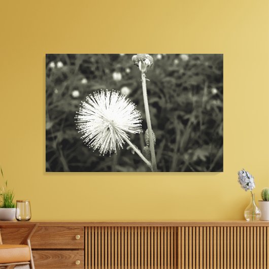 Maria-fecha-a-porta - p&b キャンバスプリント (インサイチュ (リビング))