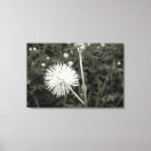 Maria-fecha-a-porta - p&b キャンバスプリント (正面)