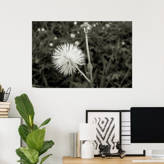 Maria-fecha-a-porta - p&b ポスター (ホームオフィス)