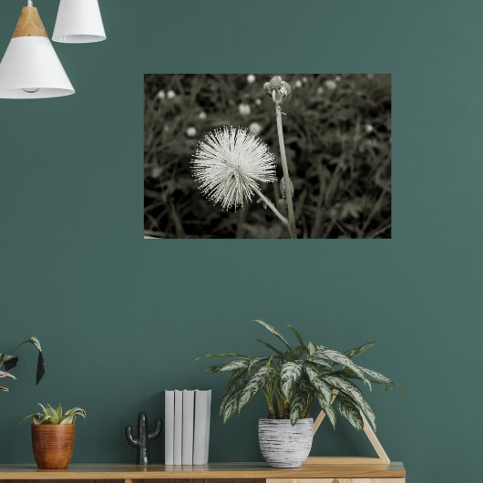 Maria-fecha-a-porta - p&b ポスター (リビング1)