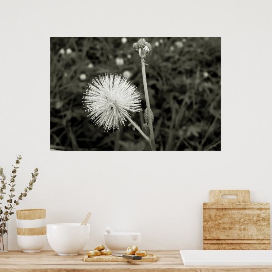 Maria-fecha-a-porta - p&b ポスター (キッチン)