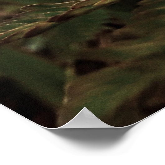 Maria-fecha-a-porta - ROSA ポスター (角)