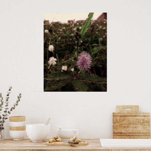 Maria-fecha-a-porta - ROSA ポスター (キッチン)