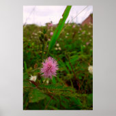 Maria-fecha-a-porta - VERTICAL ポスター (正面)