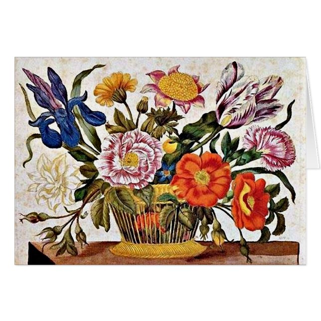 Maria Sibylla Merian - From der Raupen Wunderbare (正面横)