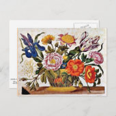 Maria Sibylla Merian - From der Raupen Wunderbare ポストカード (正面/裏面)