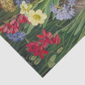 Marianne Northの南アフリカ、トゥルバグの花 薄葉紙 (詳細)
