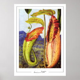 Marianne North Zeding Artポスター#1 ポスター