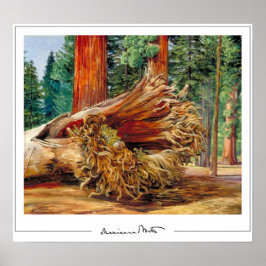 Marianne North Zeding Artポスター#7 ポスター