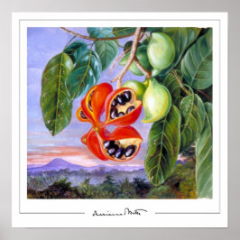 Marianne North Zeding Artポスター#9 ポスター