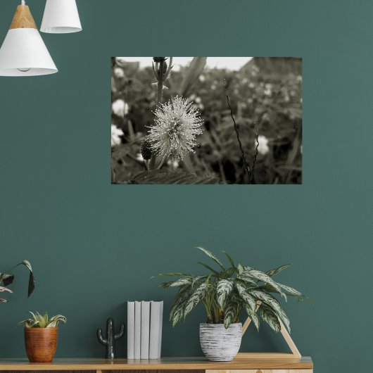 MariaS-fecha-a-porta ポスター (リビング1)