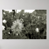 MariaS-fecha-a-porta ポスター (正面)