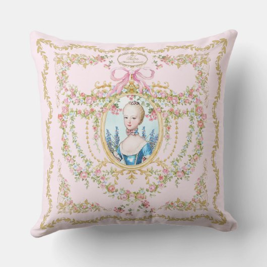 Marie Antoinette pink rose frame pillow クッション (裏面)