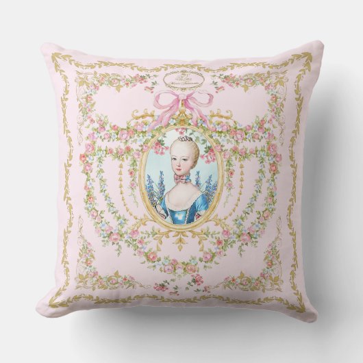 Marie Antoinette pink rose frame pillow クッション (正面)
