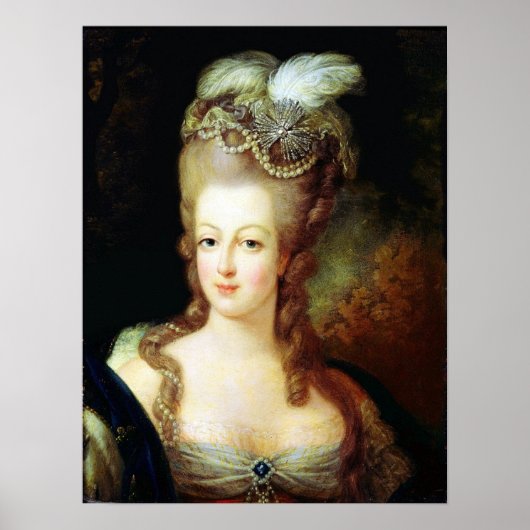 Marie Antoinette Poster ポスター (正面)