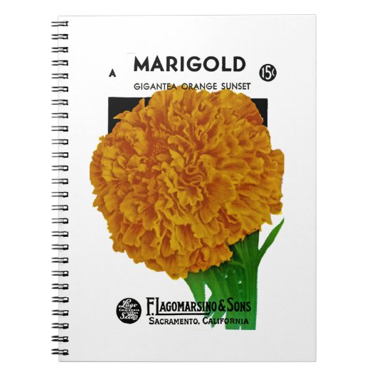Marigoldヴィンテージシードパケット ノートブック (正面)
