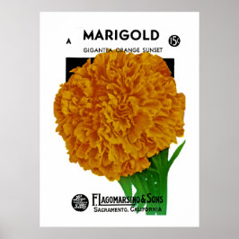 Marigoldヴィンテージシードパケット ポスター