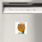 Marigoldヴィンテージシードパケット マグネット (インサイチュ (食洗機))