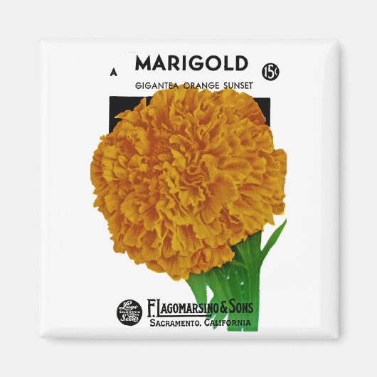 Marigoldヴィンテージシードパケット マグネット (正面)