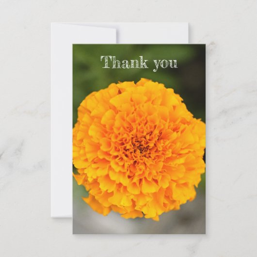 Marigold Flat Thank You Card サンキューカード (正面)