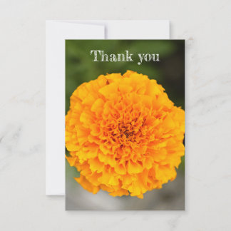 Marigold Flat Thank You Card サンキューカード